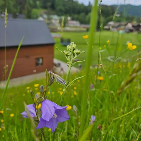 Mlynowka Domek Przy Mlynie Krościenko Exterior foto
