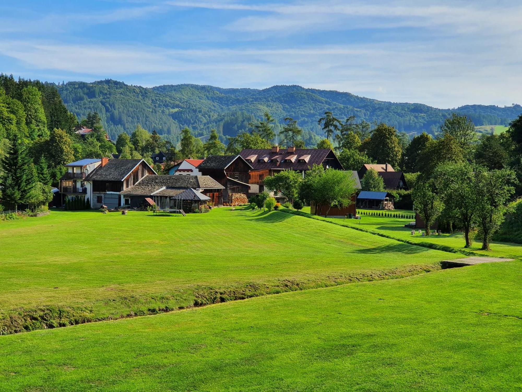 Mlynowka Przy Mlynie Chalet *